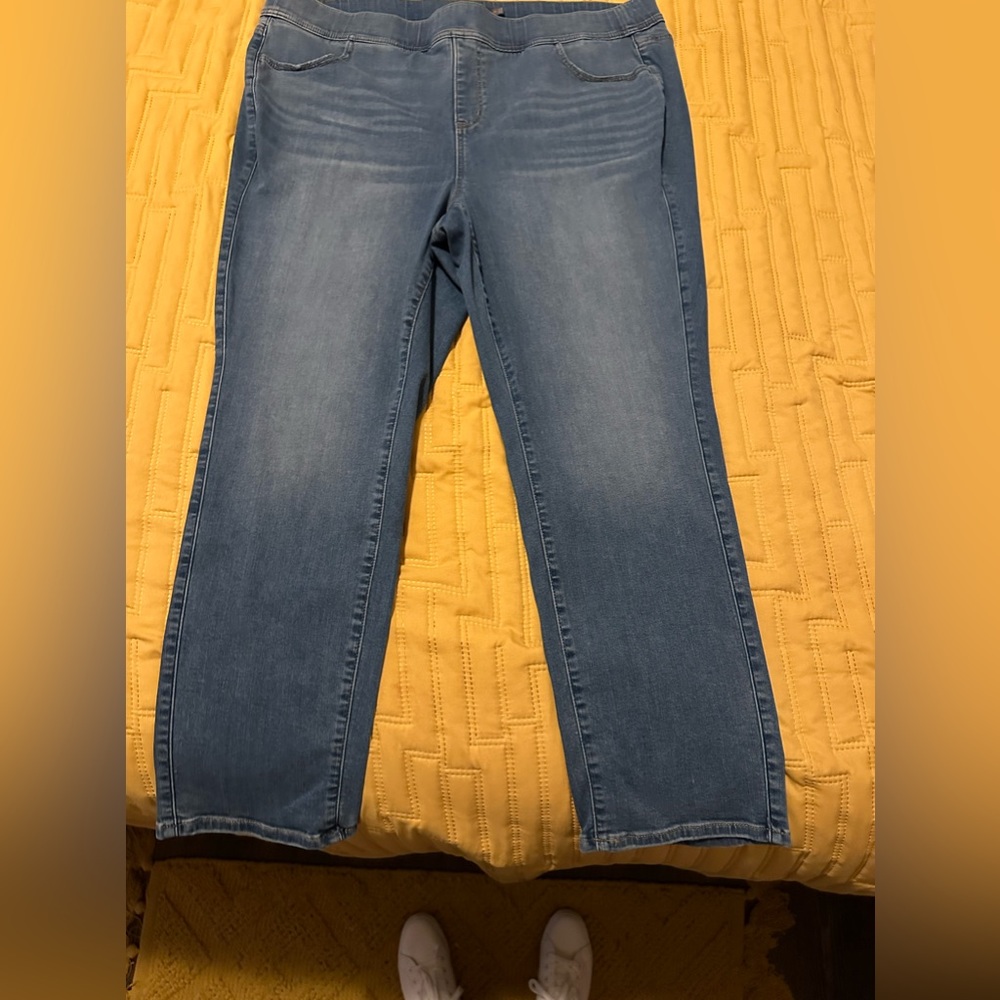 Torrid Size 3 (22/24) Jeans